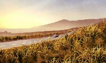 2020年农历腊月十一提车日子好不好