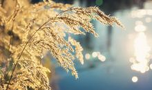 十二生肖4月17日—23日运势