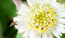 1954年属马的人2018年运程