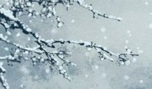 2020年腊月二十六天气好不好