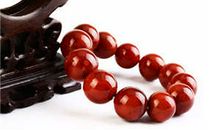 郑博士2016年属蛇人运势