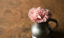 李雲天塔罗牌本周生肖运势2017.3.20-3.26