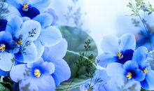 超灵验开运大师今日历吉凶（2016年5月6日）