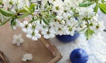 努力工作时仍旧可以保持身体健康的生肖