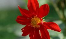 6月有贵人相助的生肖