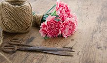 非常运势网2017年10月生肖运势详解(10.1-10.31)