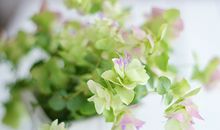 郑博士：今明吉凶播报7.3