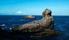 7月中有着出色的贵人运事业顺畅的生肖