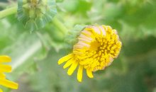 职场上最容易受欢迎的生肖都有哪些?