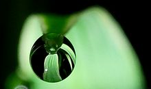 属牛双子座2018年运势