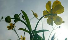 郑博士：今明吉凶播报5.15