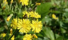 郑博士：今明吉凶播报5.12