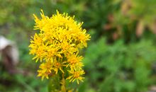 郑博士：今明吉凶播报5.11