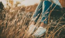 7月份：男女桃花提前报