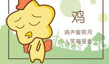 81年属鸡什么颜色最旺财 幸运色是什么