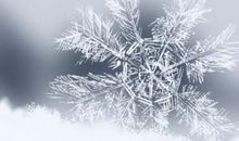 2020年腊月十一是几月几号 农历十二月十一黄历