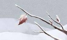 2020年腊月十二是阳历几号 农历十二月十二黄历