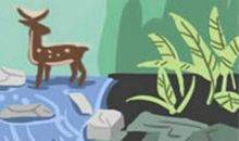 从法令纹面相看你的职场运势