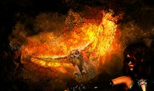 梦见三头凤凰有什么含义