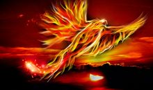 孕妇梦见凤凰好不好