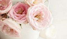 属羊的人2015年5月运势