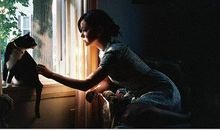 那些被黑惨了的12生肖们