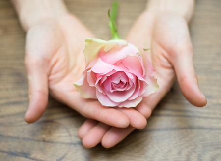 12盎司将于11月发货