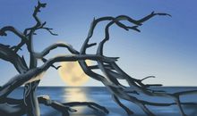 2021年1月28日吉时凶时黄历查询 今天是黄道吉日吗