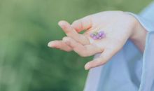 秦阳明2021年1月19日生肖运势