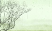 2020年农历腊月十三是什么日子 黄历宜忌每日查询