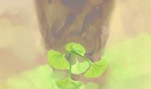 今日宜忌黄历 2021年2月18日是星期几什么日子