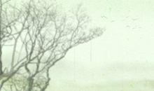 2020年农历腊月二十黄历宜忌查询 今天是什么日子