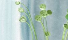 2020年农历腊月二十六日子怎么样 今日黄历宜忌