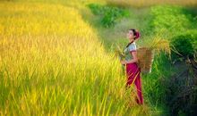 “说一不二”的三生肖女，婚后婆婆都得让着她们，家庭地位很高