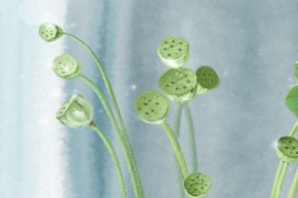 在脱轨后，水瓶返回家庭