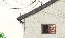 情伤难以愈合的星座
