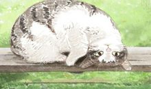 双子座会在哪些地方给女友求婚呢
