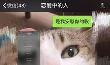 最不容易受感情左右的星座
