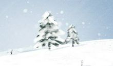 2021年大寒立碑吉日