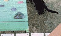 十二星座的内心就是这么逗逼！