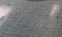 巨蟹座最讨厌什么星座