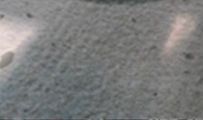 双子座最讨厌什么星座