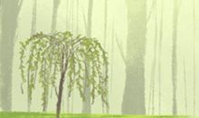 白羊座中国女明星有哪些？