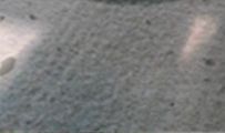 水瓶座最讨厌什么星座