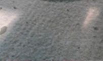 射手座最讨厌什么星座