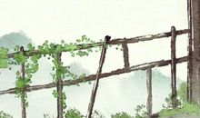 大年初一能扫院子吗 可以打扫吗