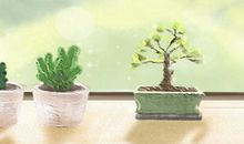 嫁的好，12星座女做的那些事