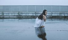 郑博士一周生肖运势（1.25-1.31）