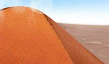 狮子女军训时被告白的反应