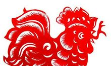 属鸡的人2011年运程